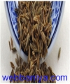 1875257737_Cumin Seeds.jpg